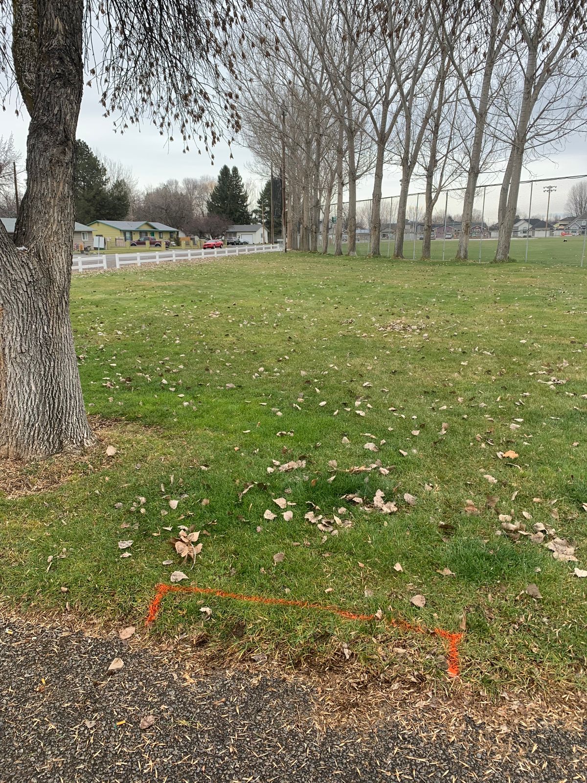 Tee Pad 1