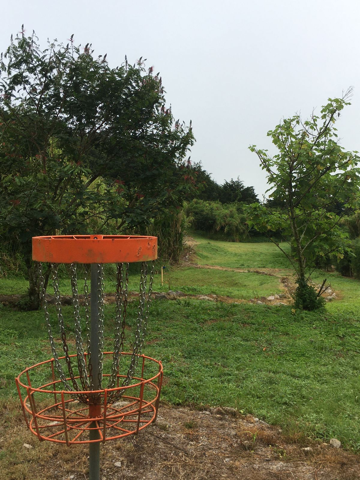 Hole 6 Basket to Tee