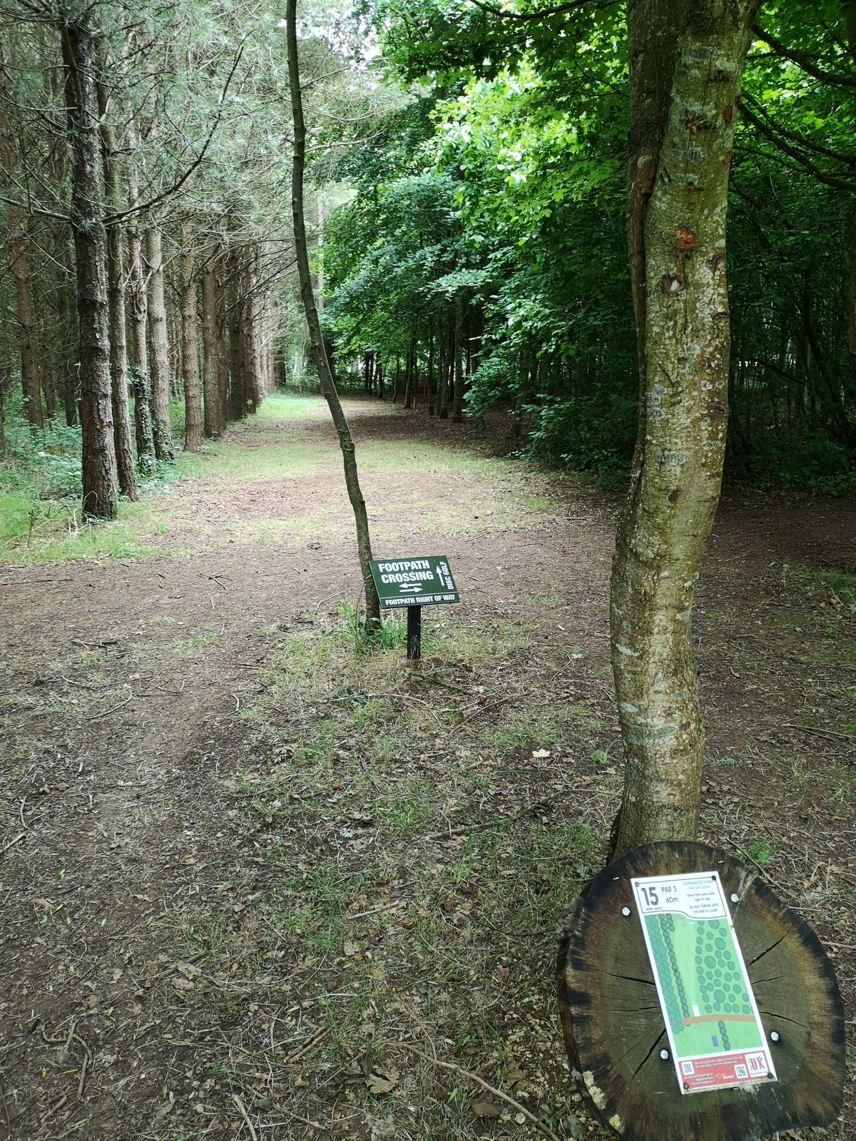 View from White Tee Hole 15