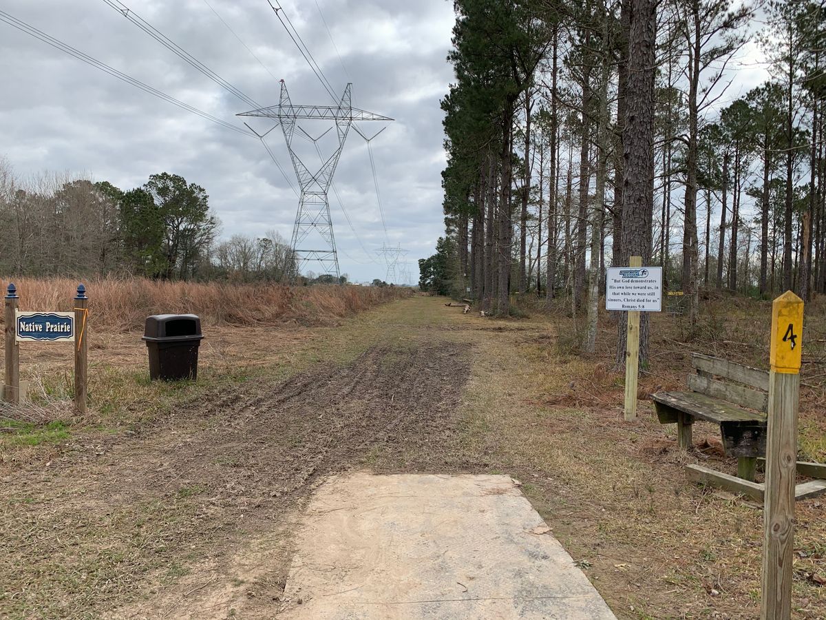 Hole 4 Fairway