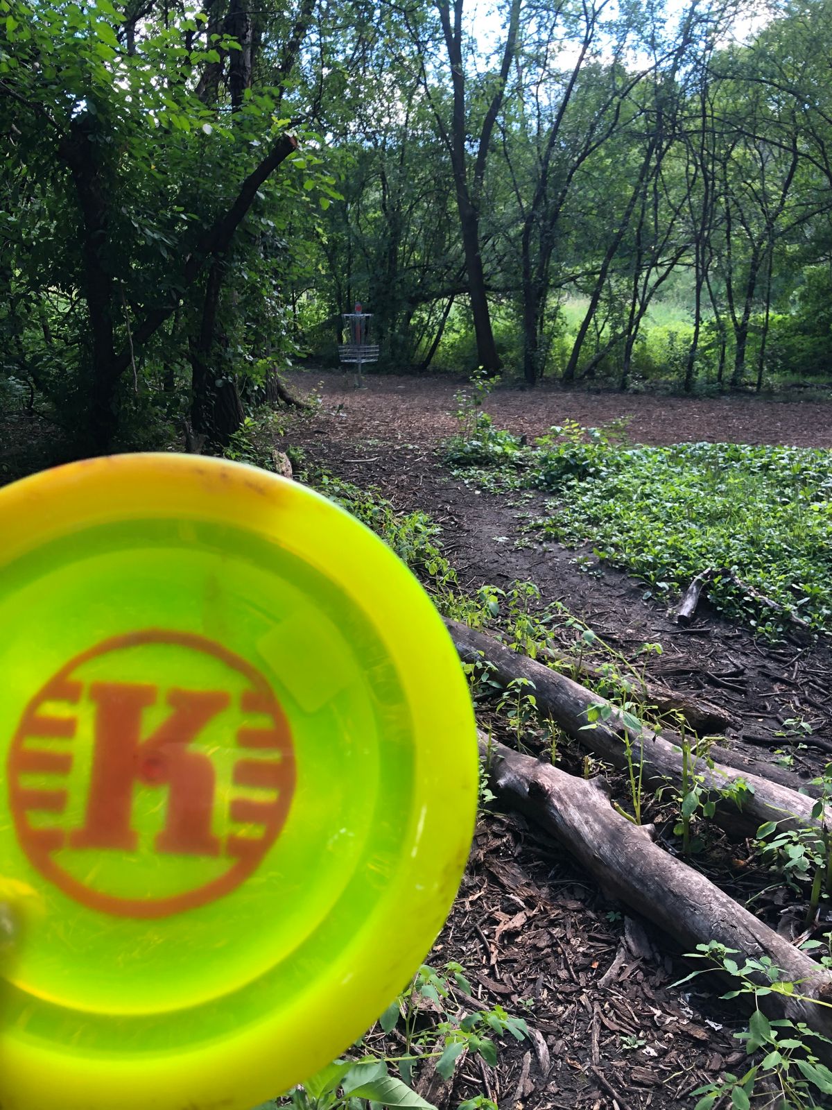 6122228354 
Best disc I ever threw , lost on hole 4