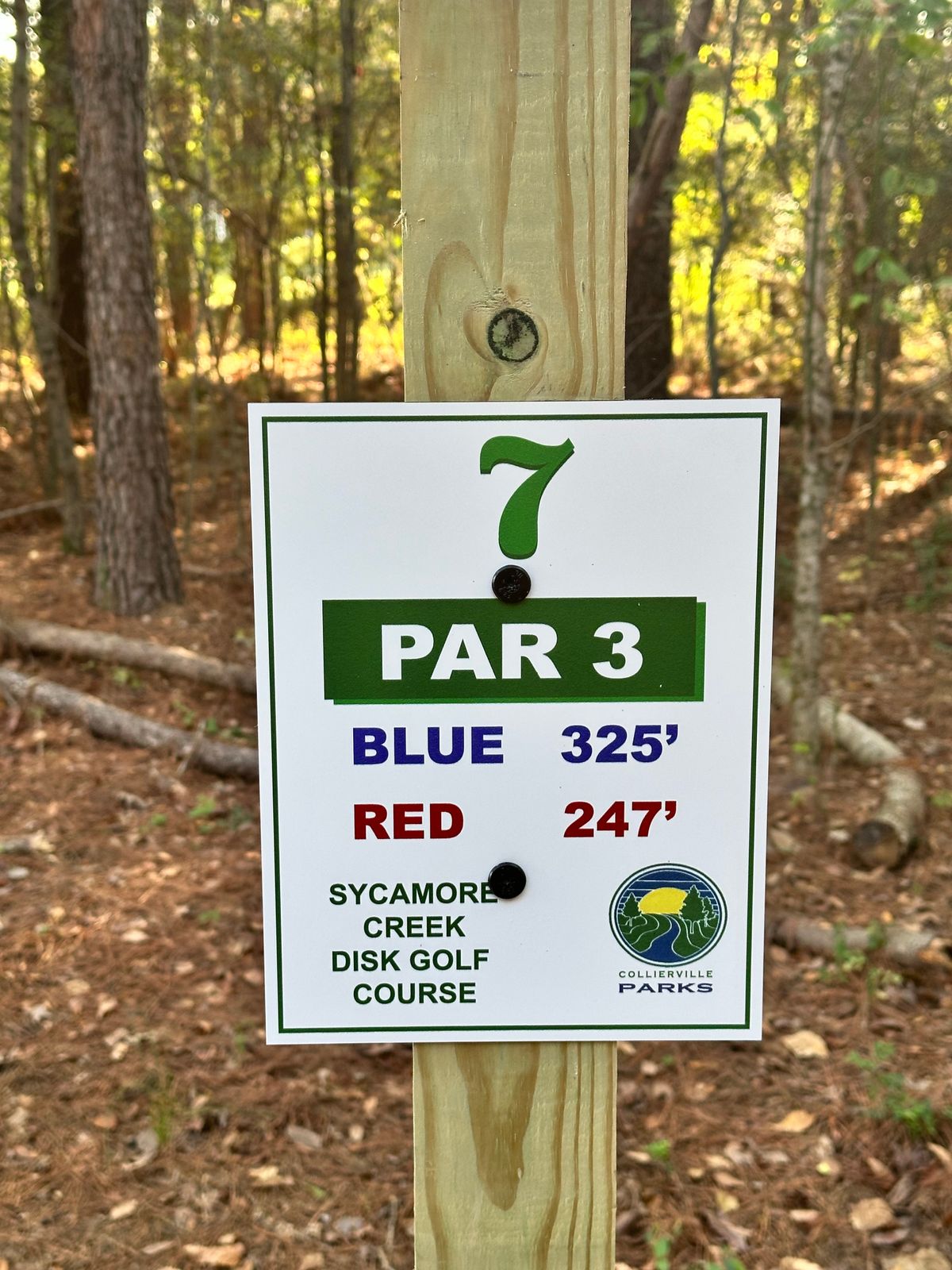 Tee pads are tucked in trees (SE corner of lot)