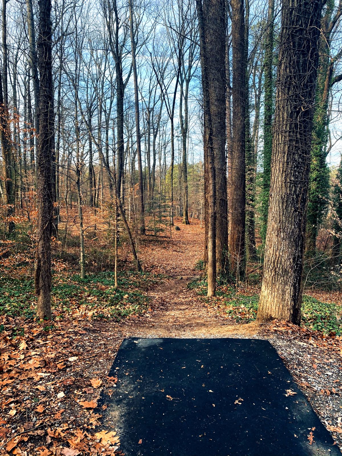 Start of hole 10