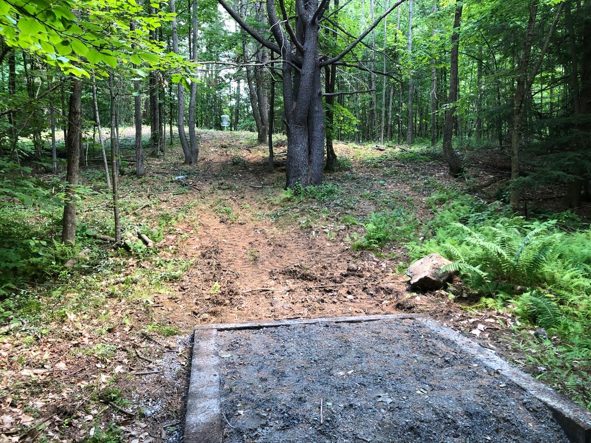 Hole 6