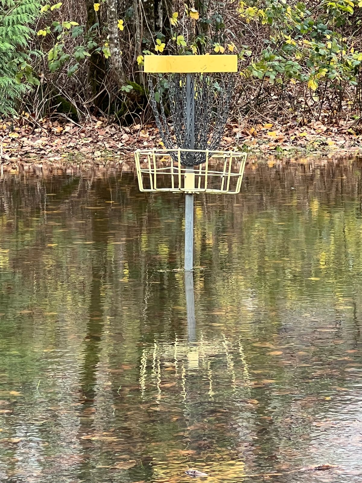 12/10/25. Basket #6 is flooded out.