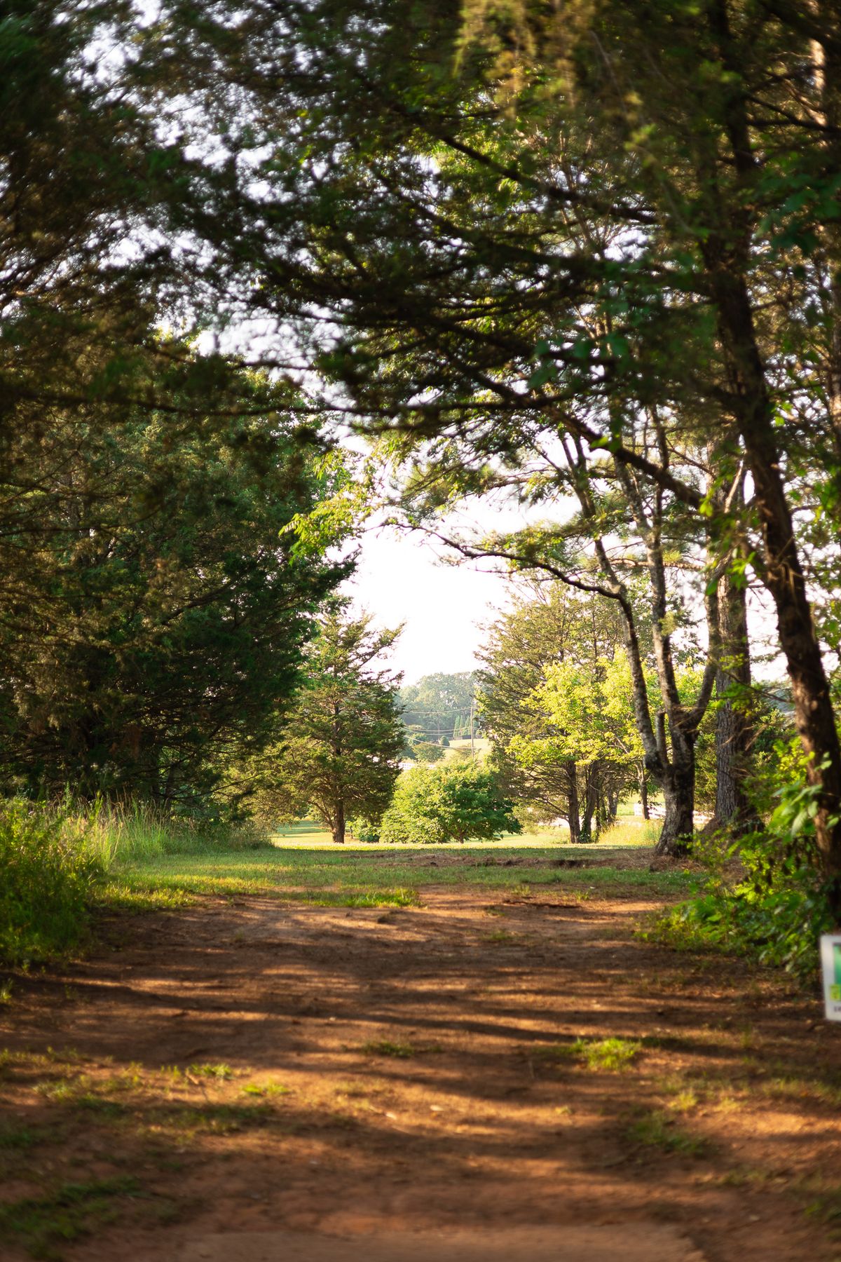 Hole 10 Long