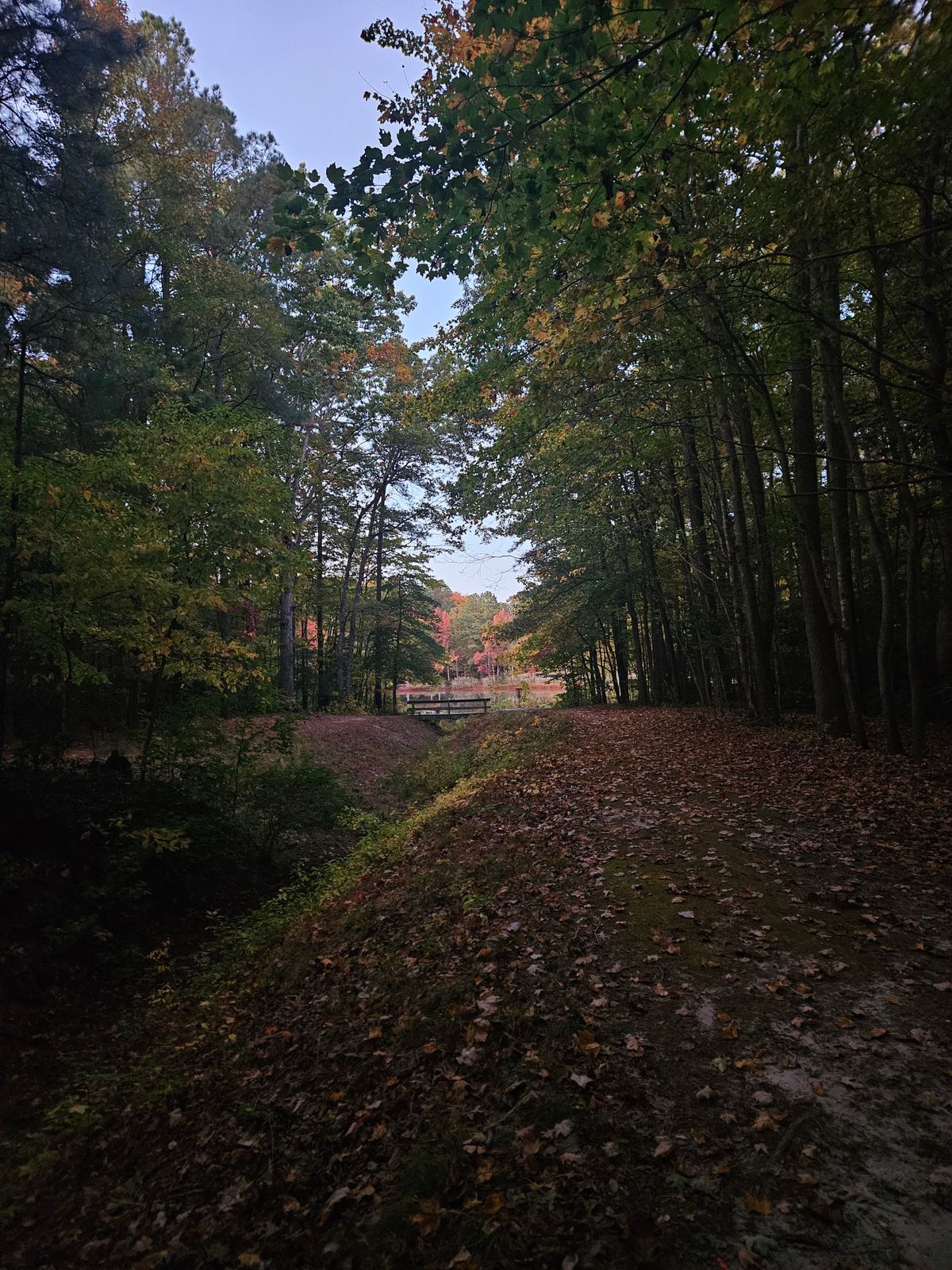 View from hole 8's tee pad