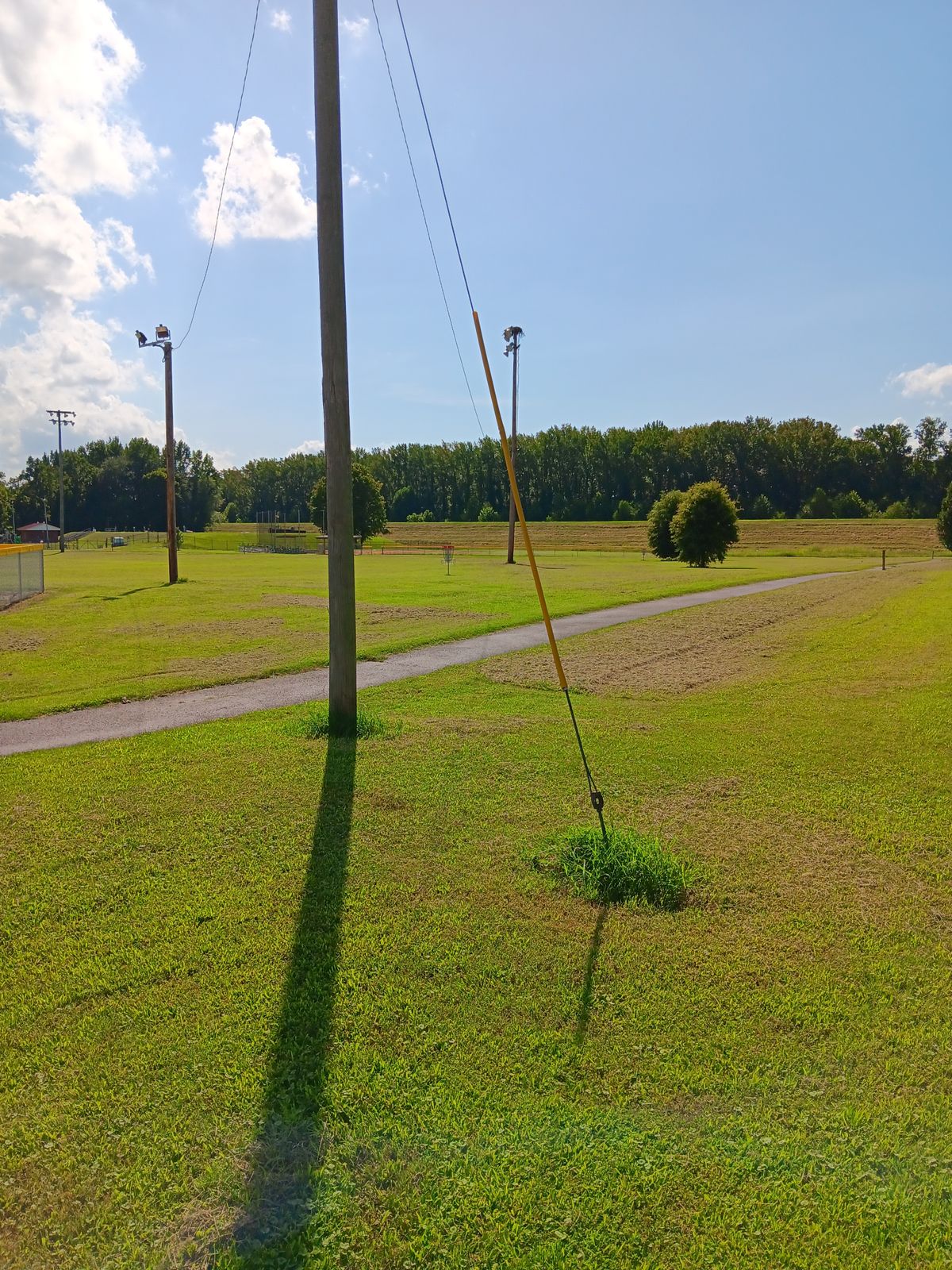 Hole 5 Basket