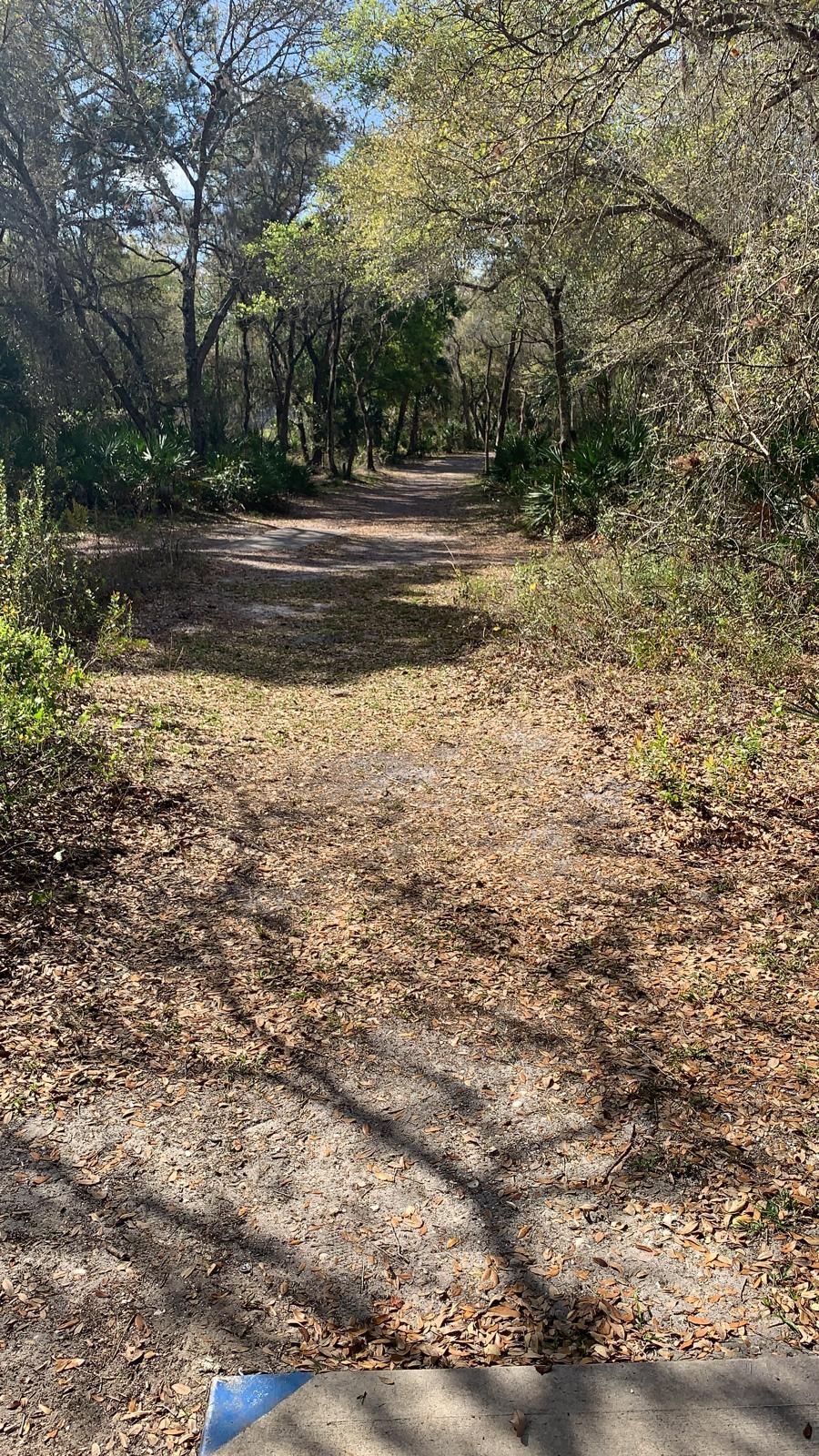 Hole #9