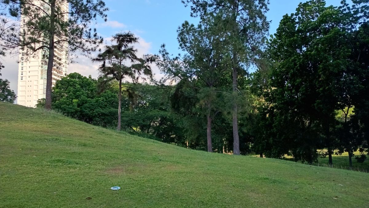 Parque Omar DG Course
Hole 9 Fairway