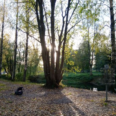 Väylä #8 (13.10.2023).
