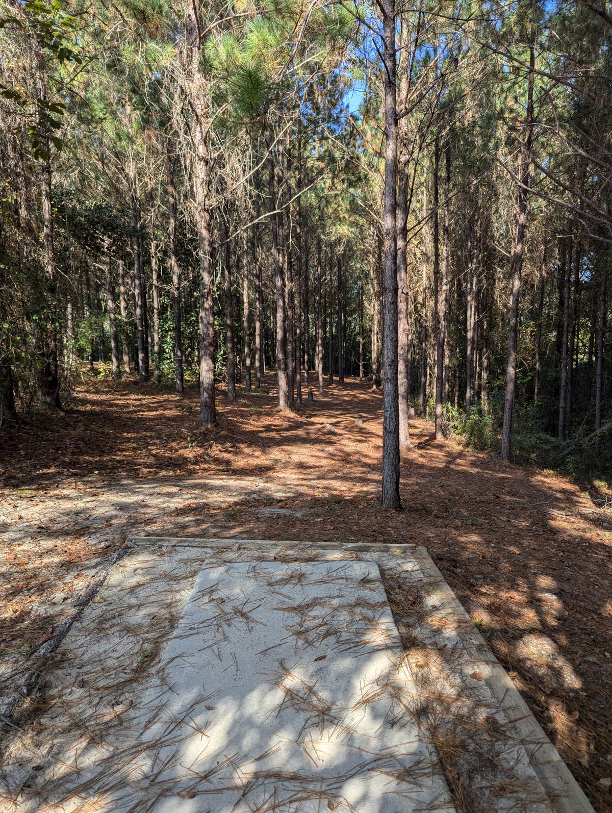 Hole 14 through the trees