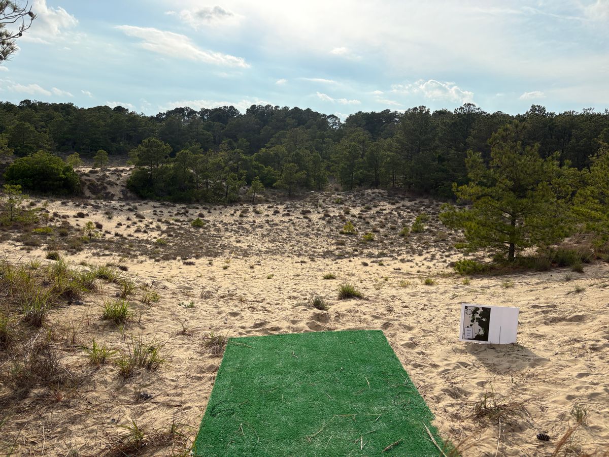 Hole 6 tee