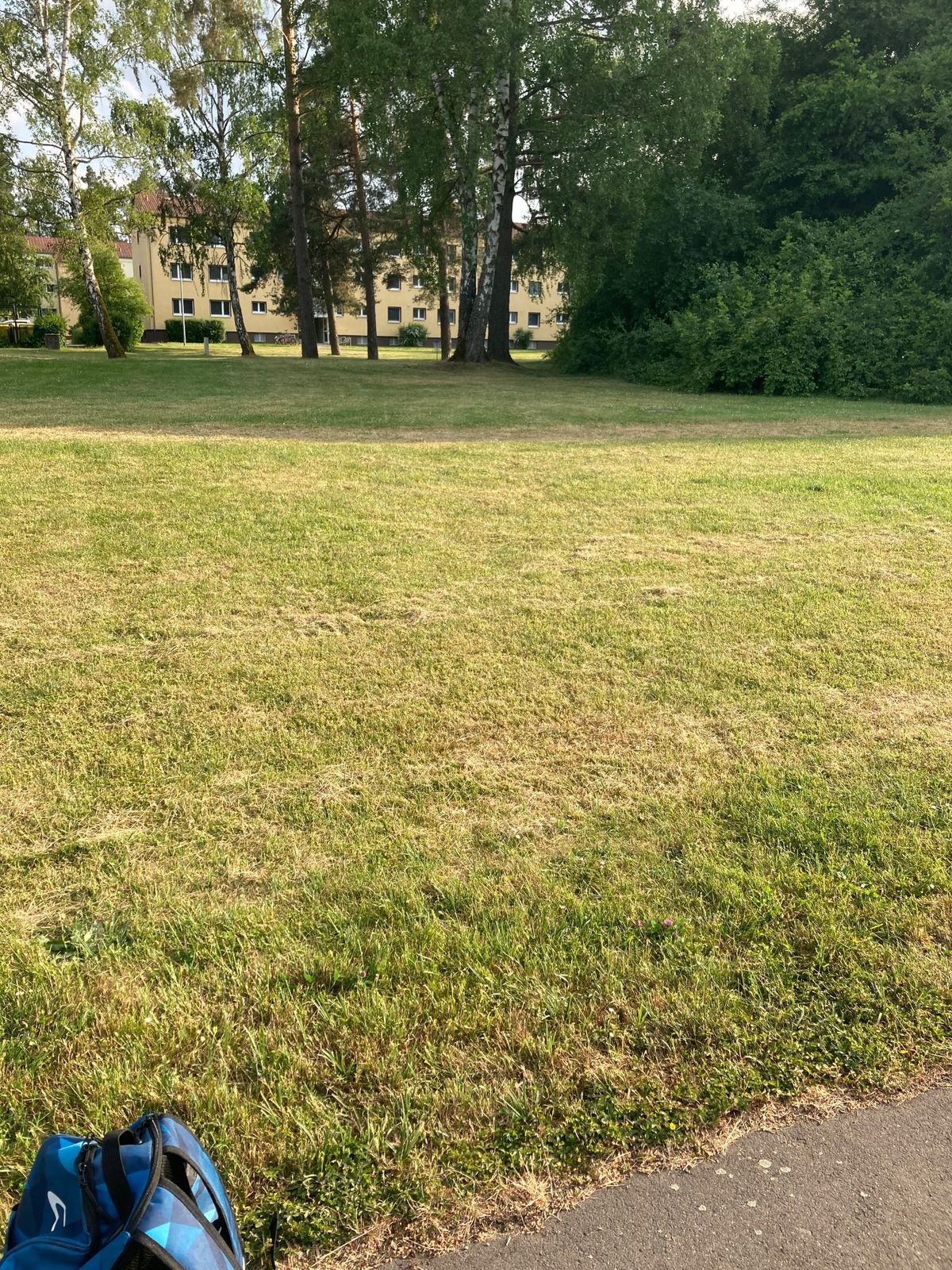 From hole 1 tee to basket