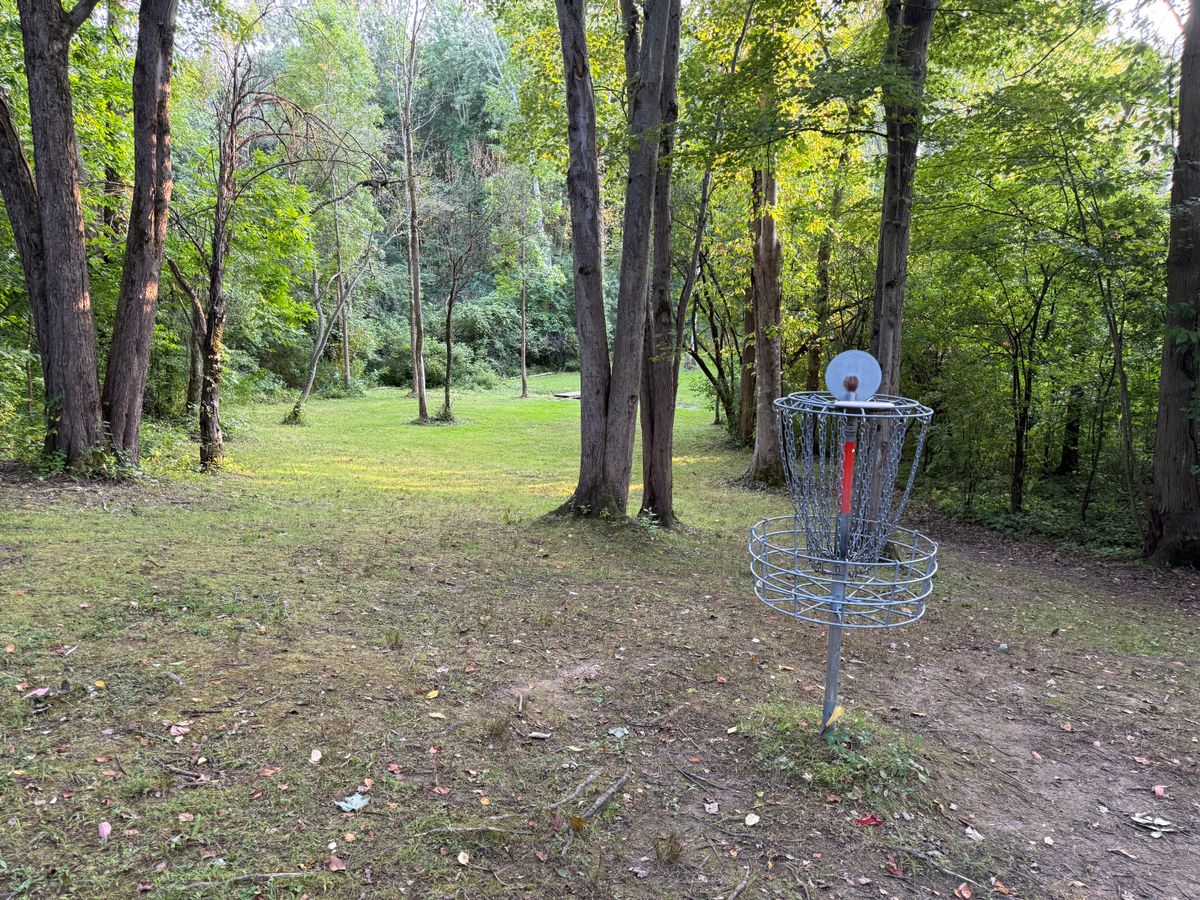 Hole 4 Basket to Tee