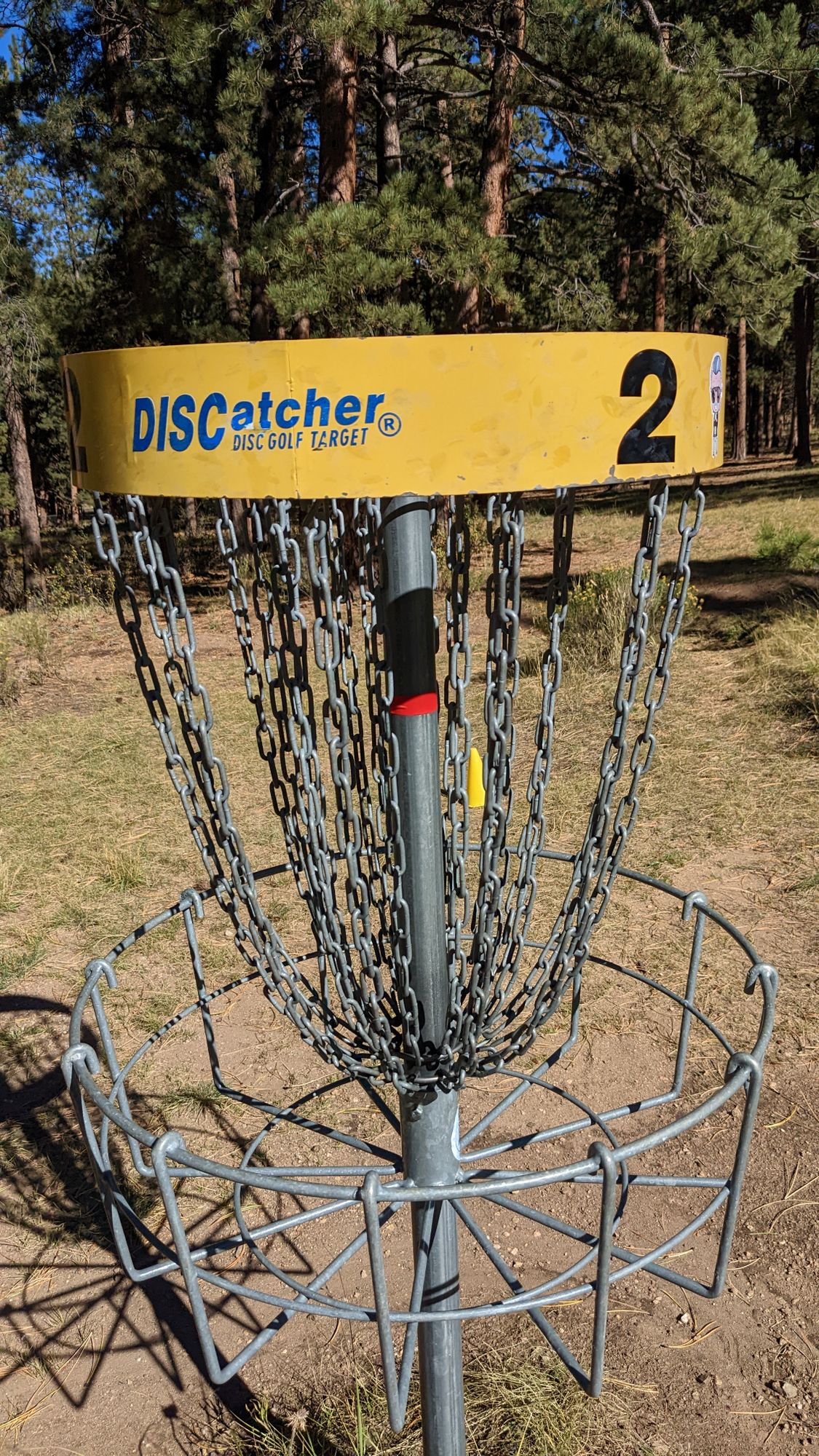 Hole 2 basket.