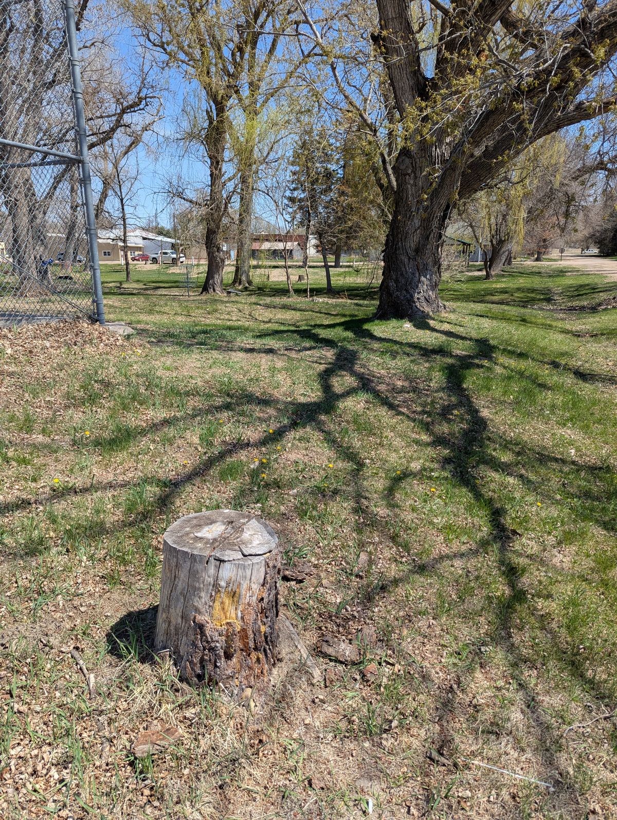Hole 3 stump