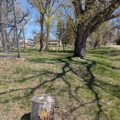Hole 3 stump