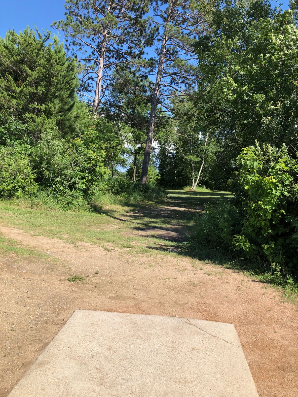 6 tee