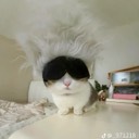 timurdiscg0lf