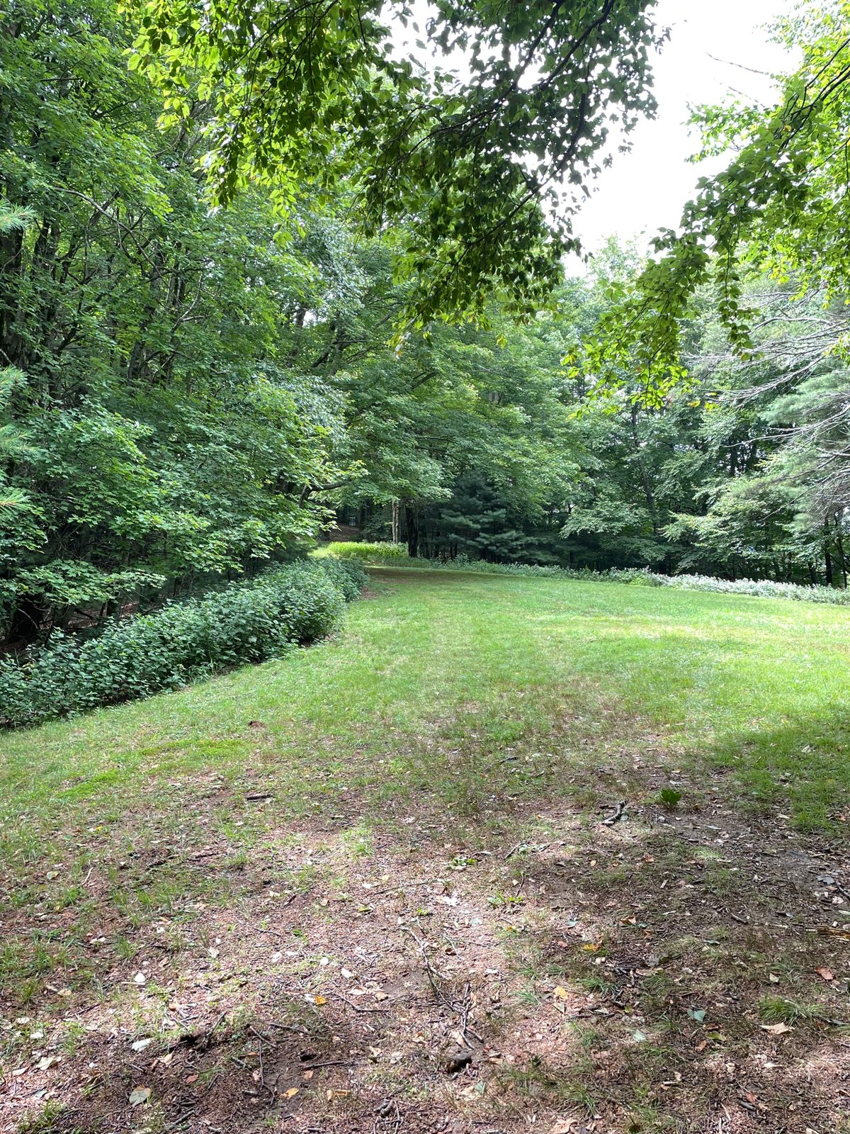 Hole 6 tee. Beautiful fairway with challenging canopy.