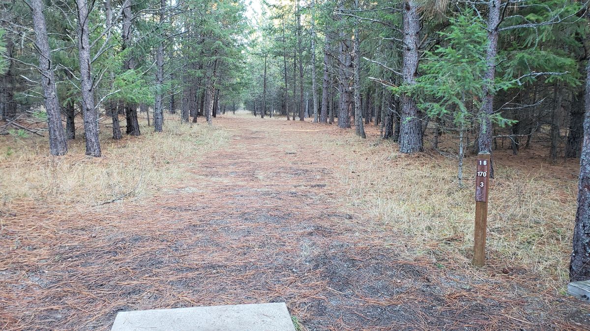 Tee pad hole 16