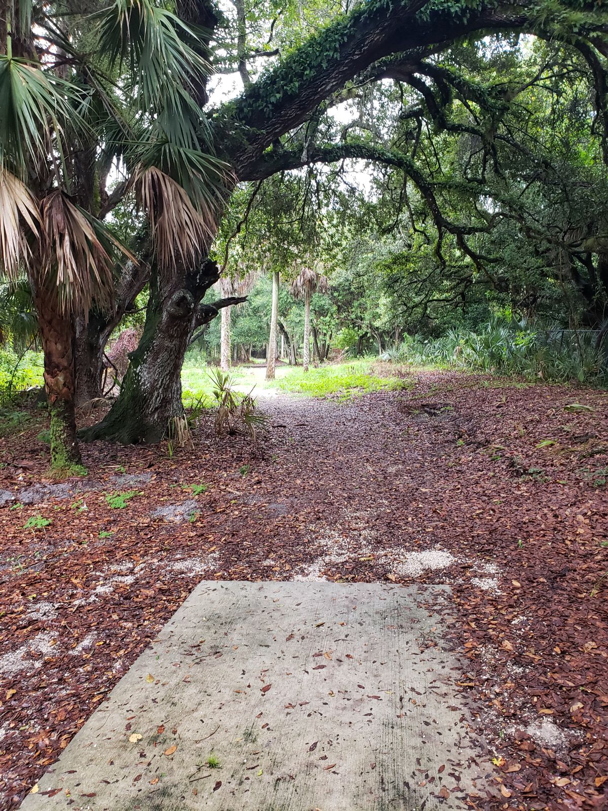 Hole 3 Tee Pad