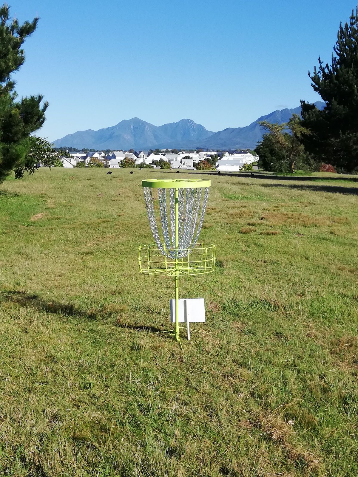 Hole 1 basket.
