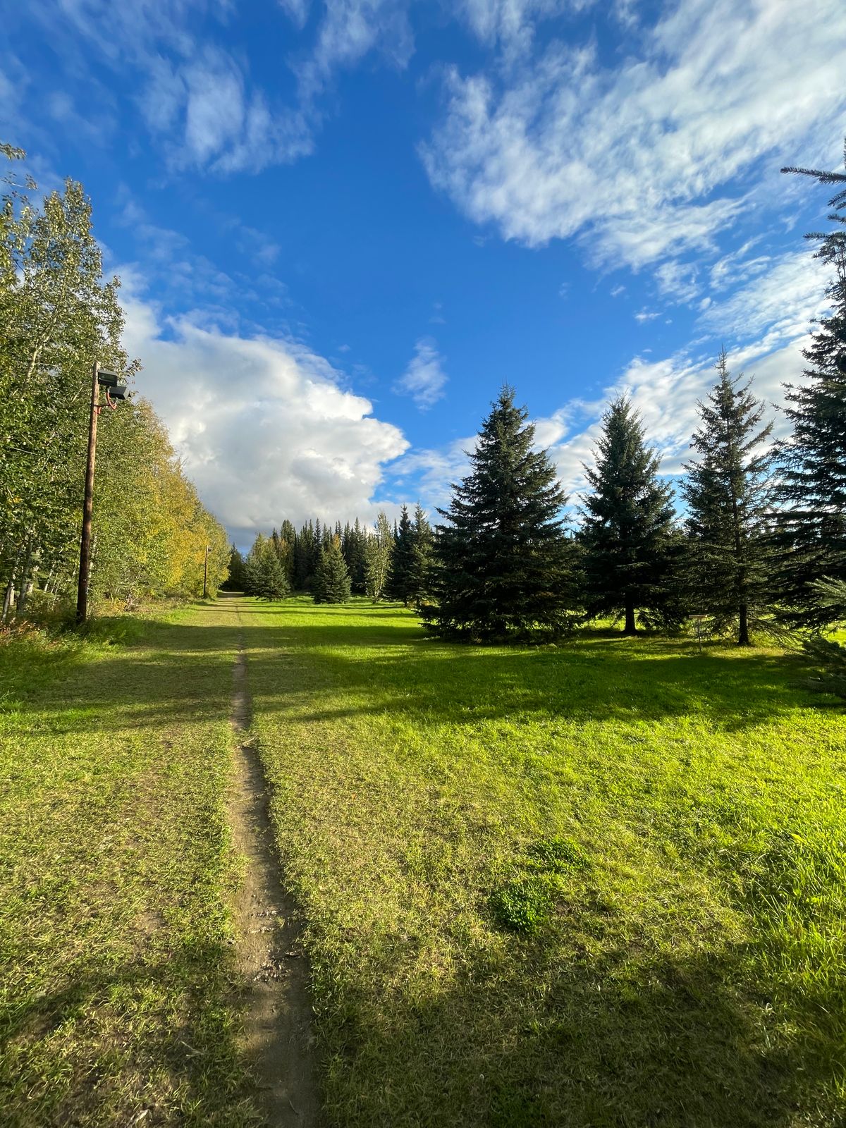 Hole 5 basket, looking back down the Fairway