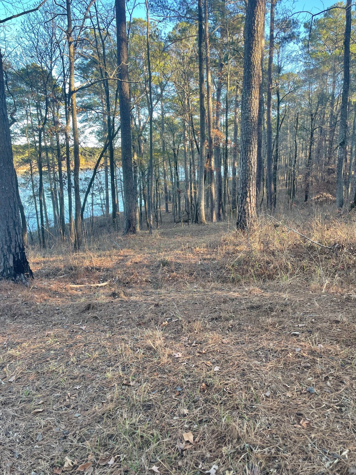 Hole 10