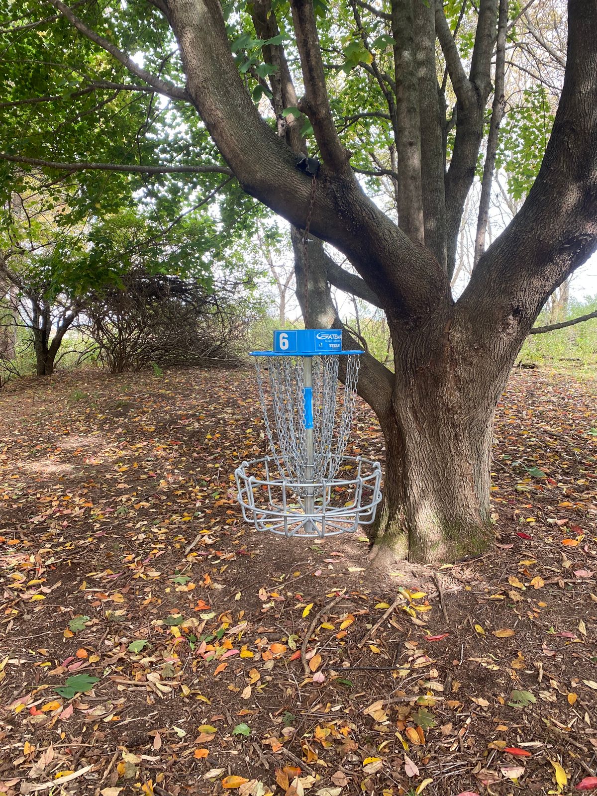Hole 6 basket