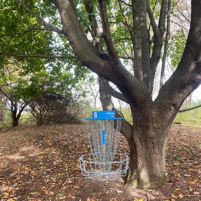 Hole 6 basket