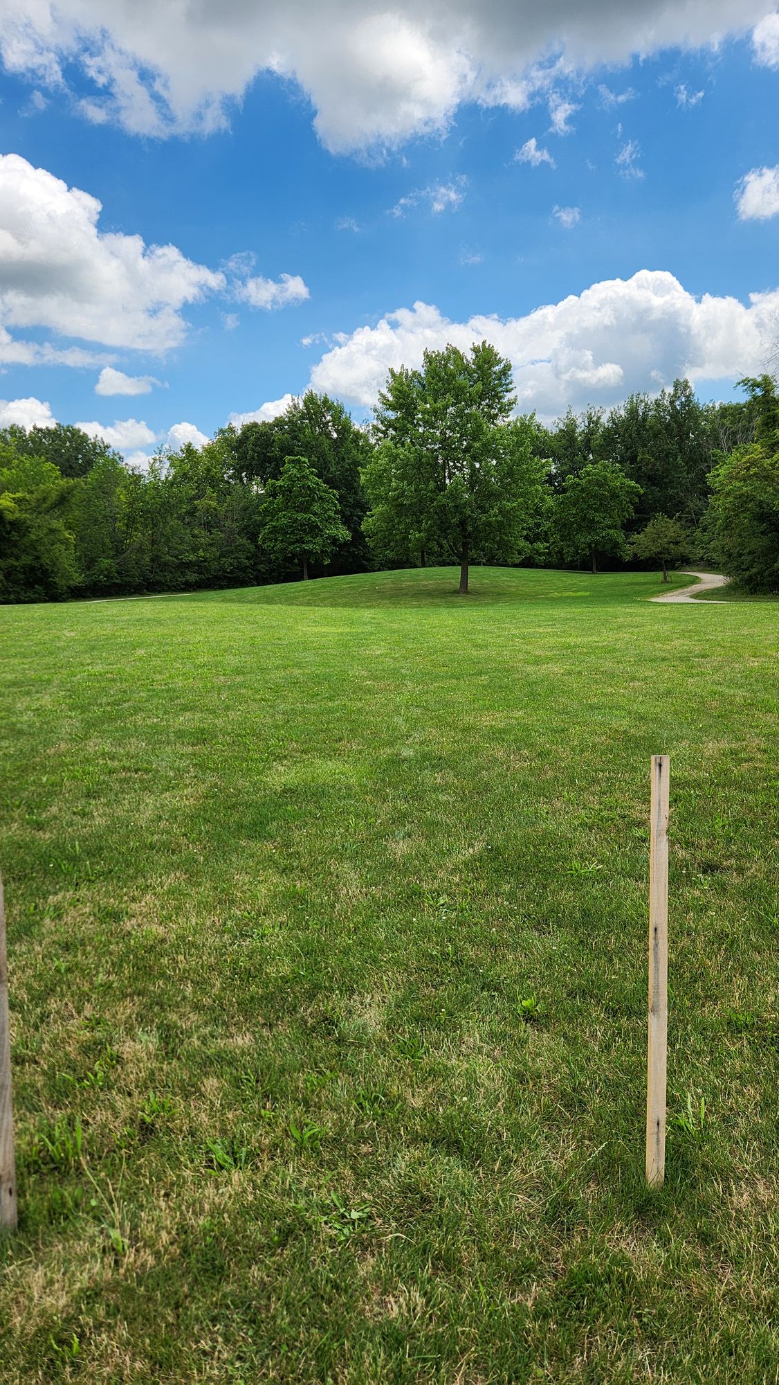 Hole 7 view from tee