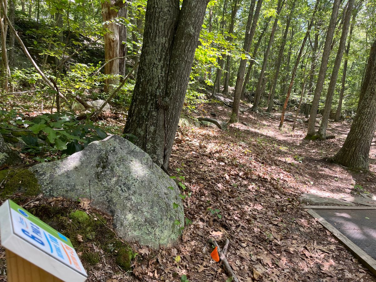 Hole 6
