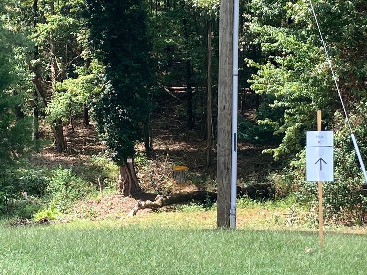 Hole #1