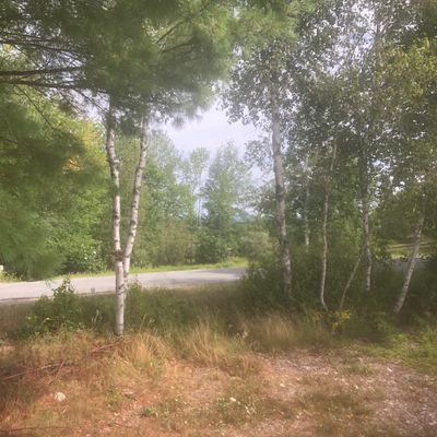 Driving over the road on the back 9