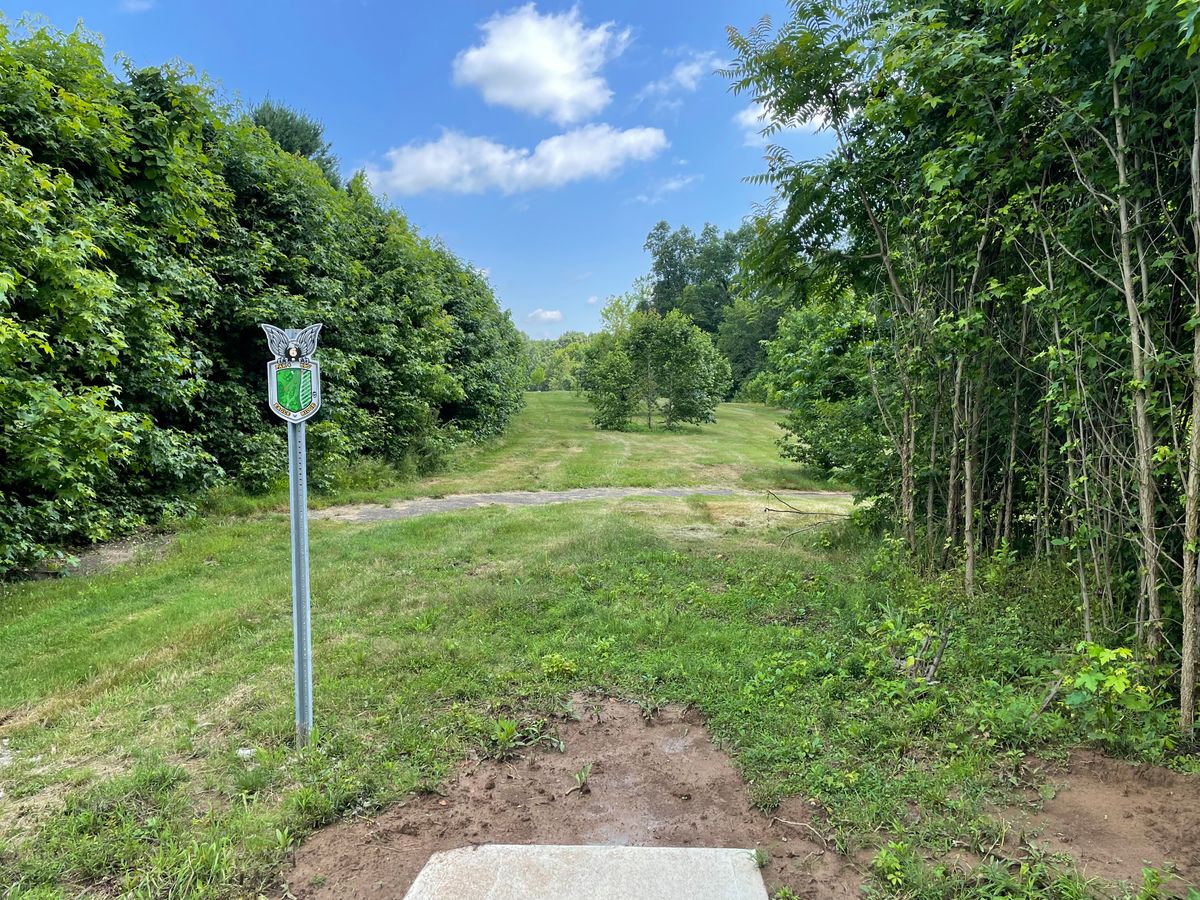 White Tee.  Pick Left/Right/Over clump of trees.  Watch out for OB cartpath (and beyond) on Right of fairway.