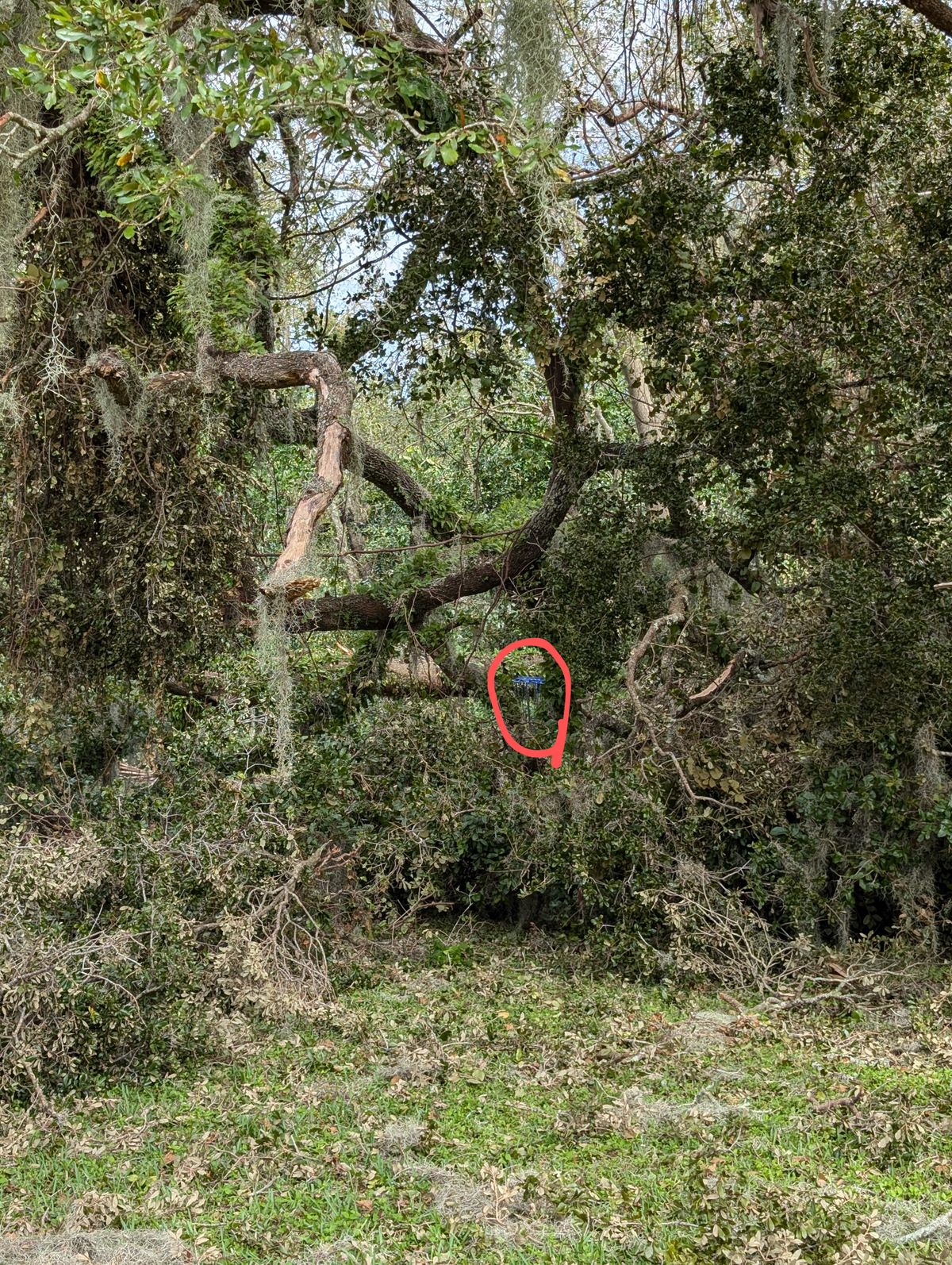 Hole 1
