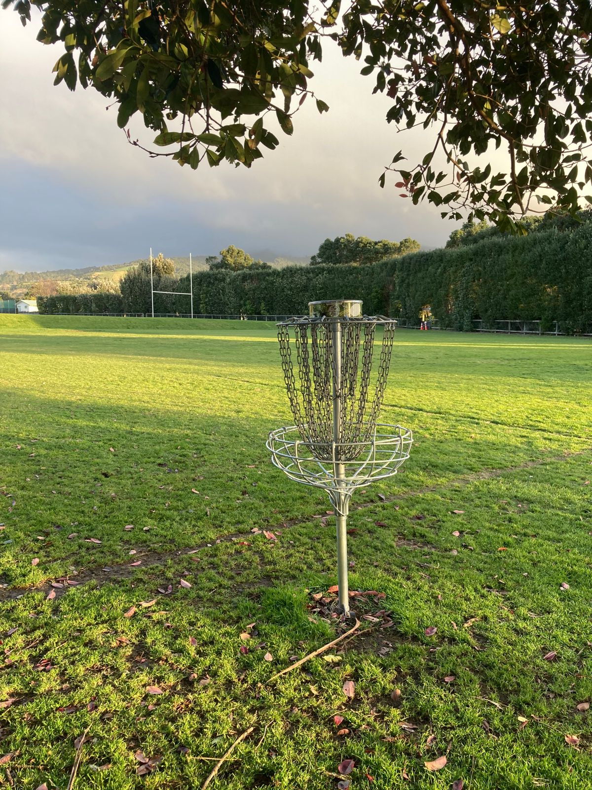 Basket for holes 2, 6 and 9
