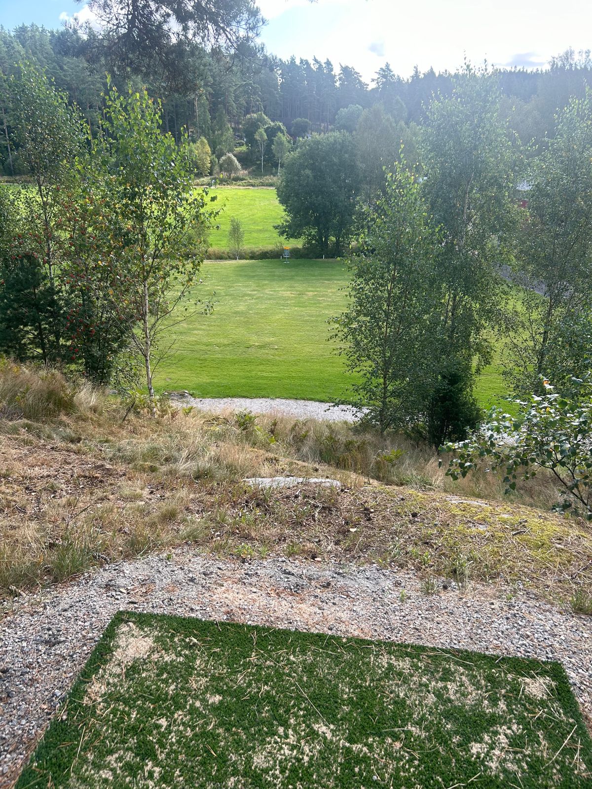 Från tee 6