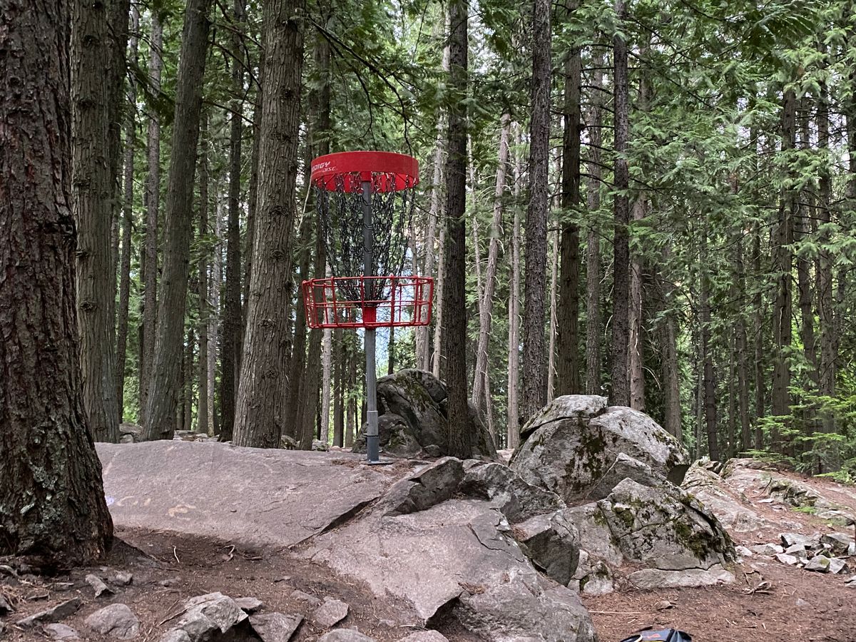 Got a crazy 40 foot putt