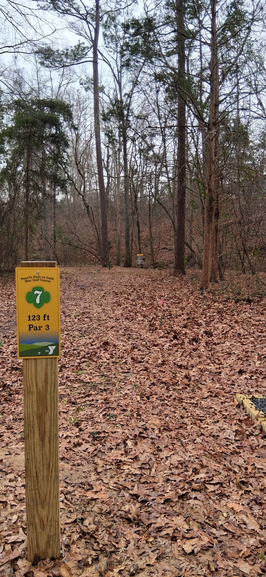 creek beside basket is ob
