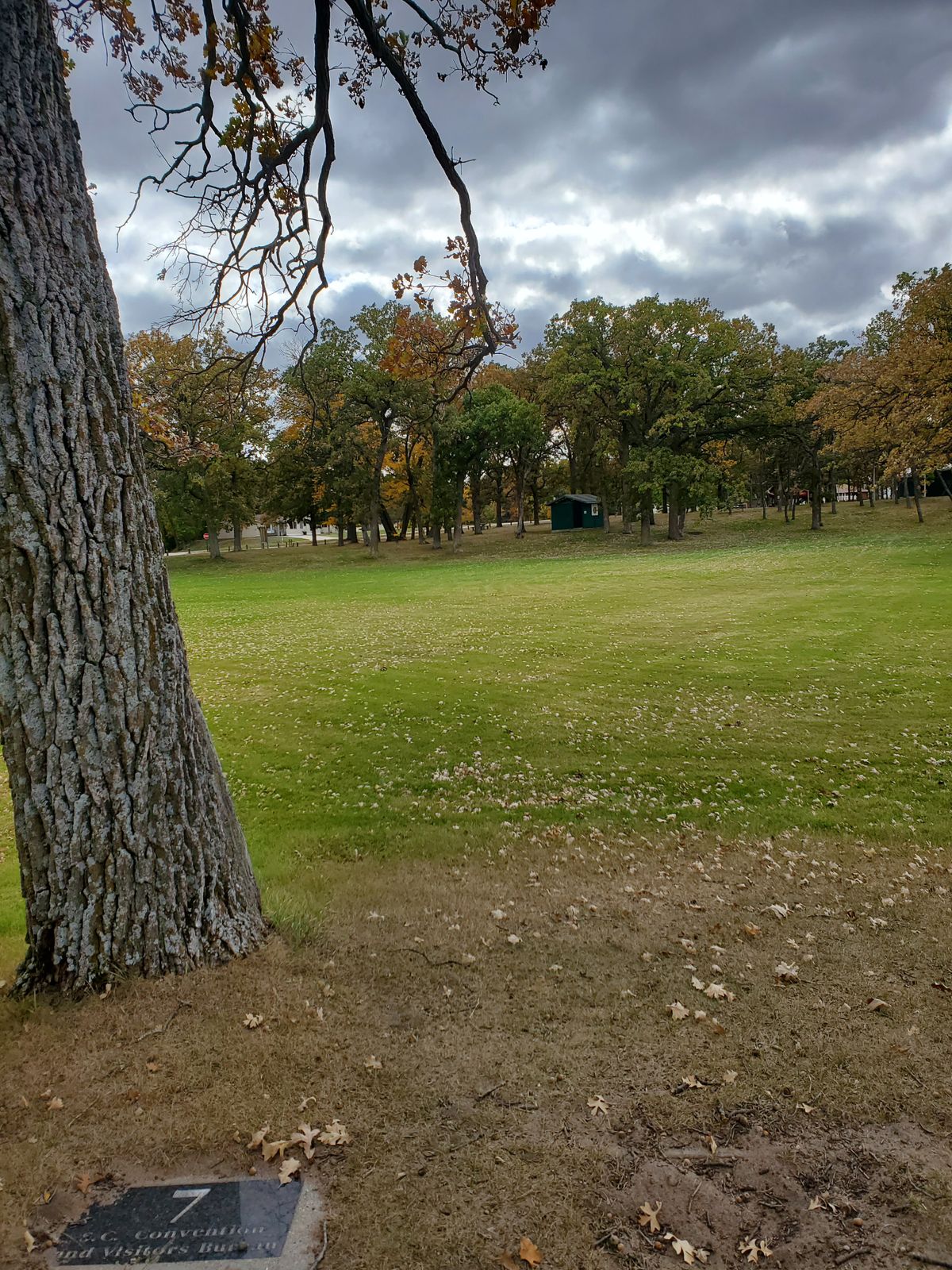 #7 Tee