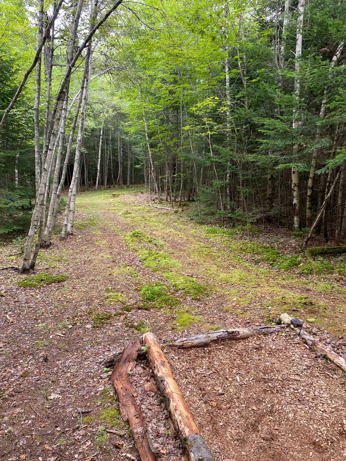 Hole 9