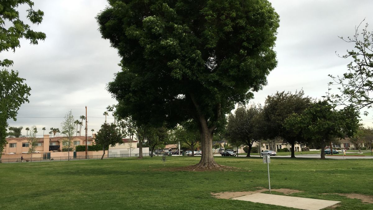 Hole 4