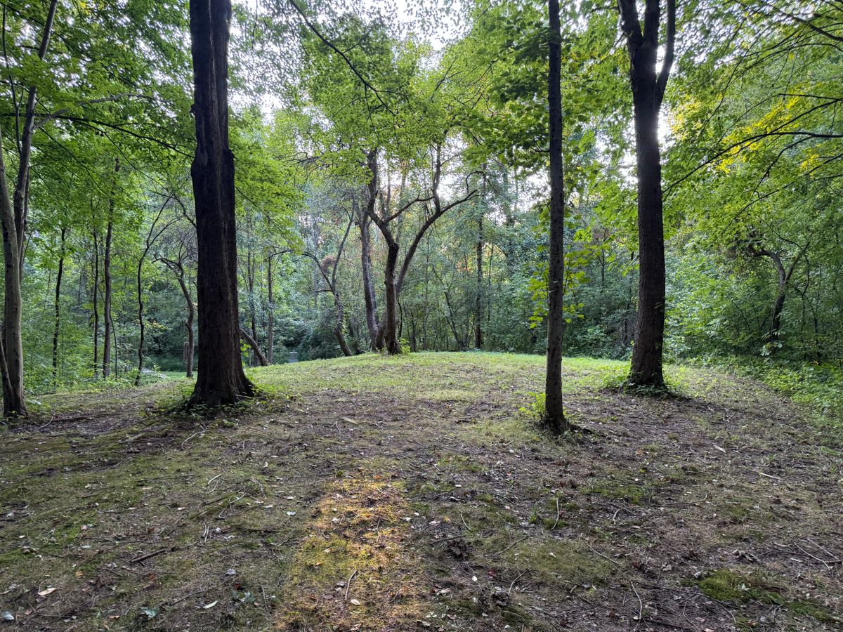 Hole 6 Fairway