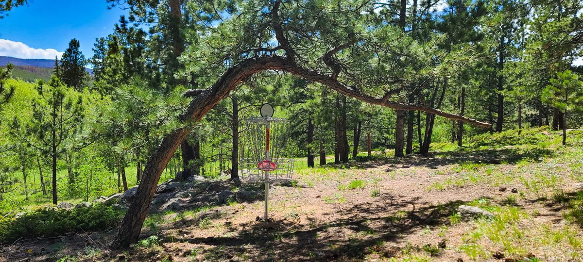 Hole 4's unique and challenging basket placement.