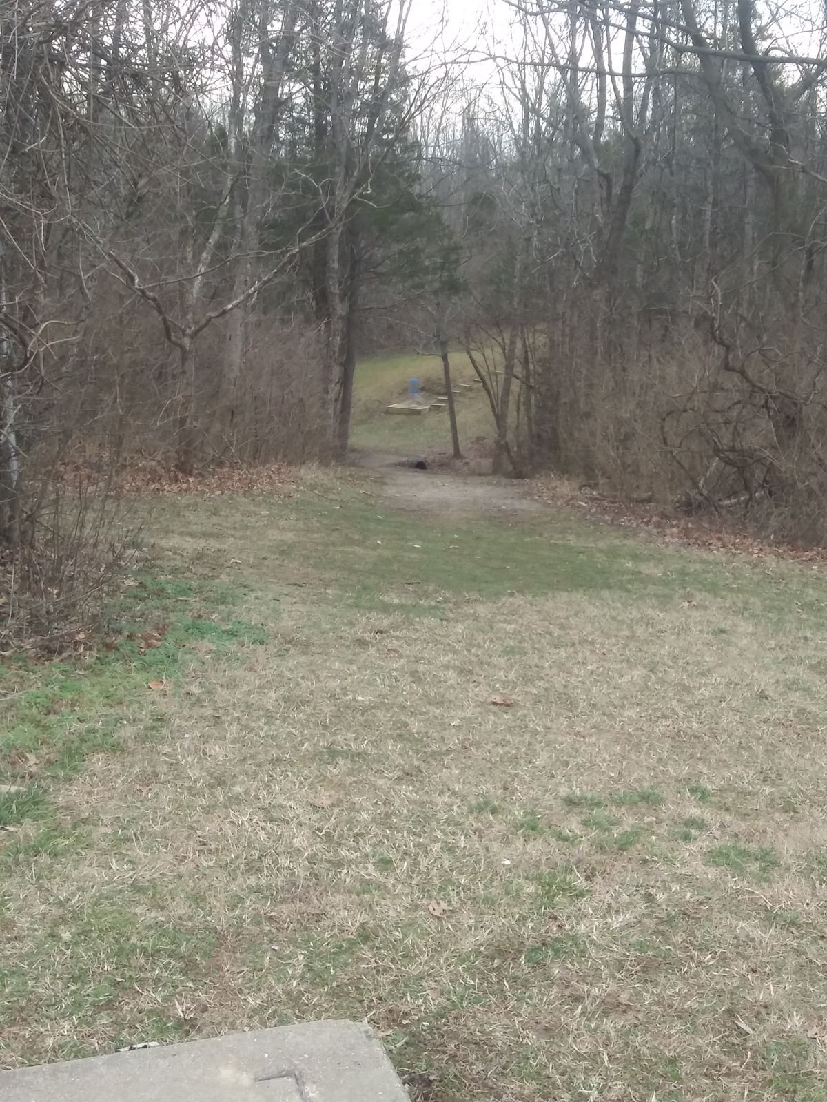 Hole 12, downhill tunnel all the way. Beautiful and challenging hole.