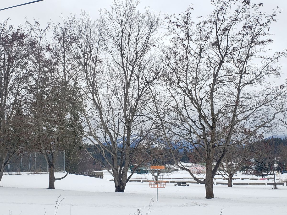Hole 9 from the road