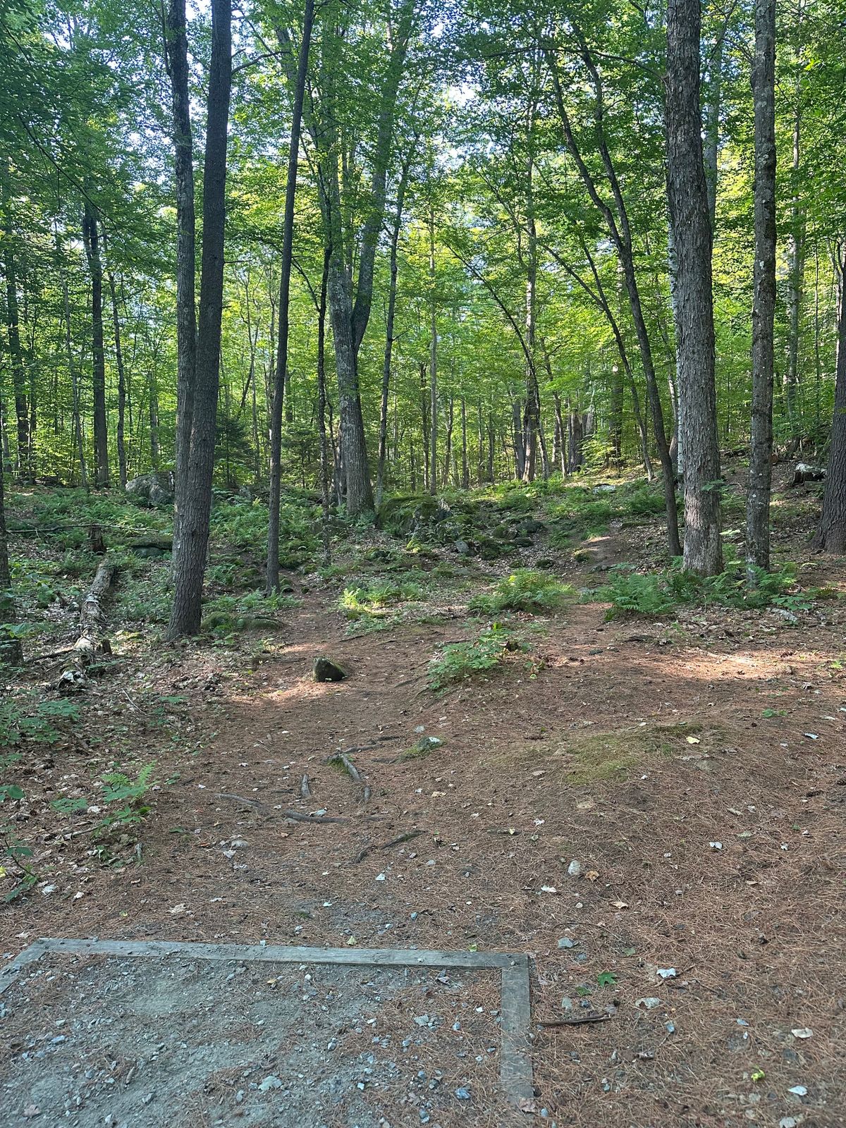 Tee pad 13